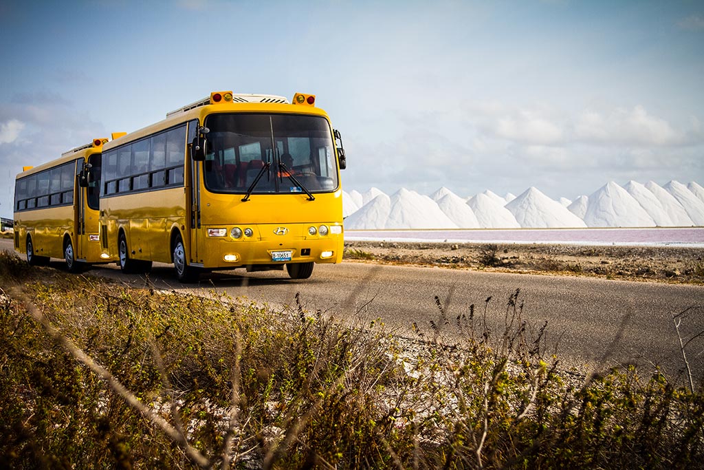 Bonaire Essentials Sightseeing Tour